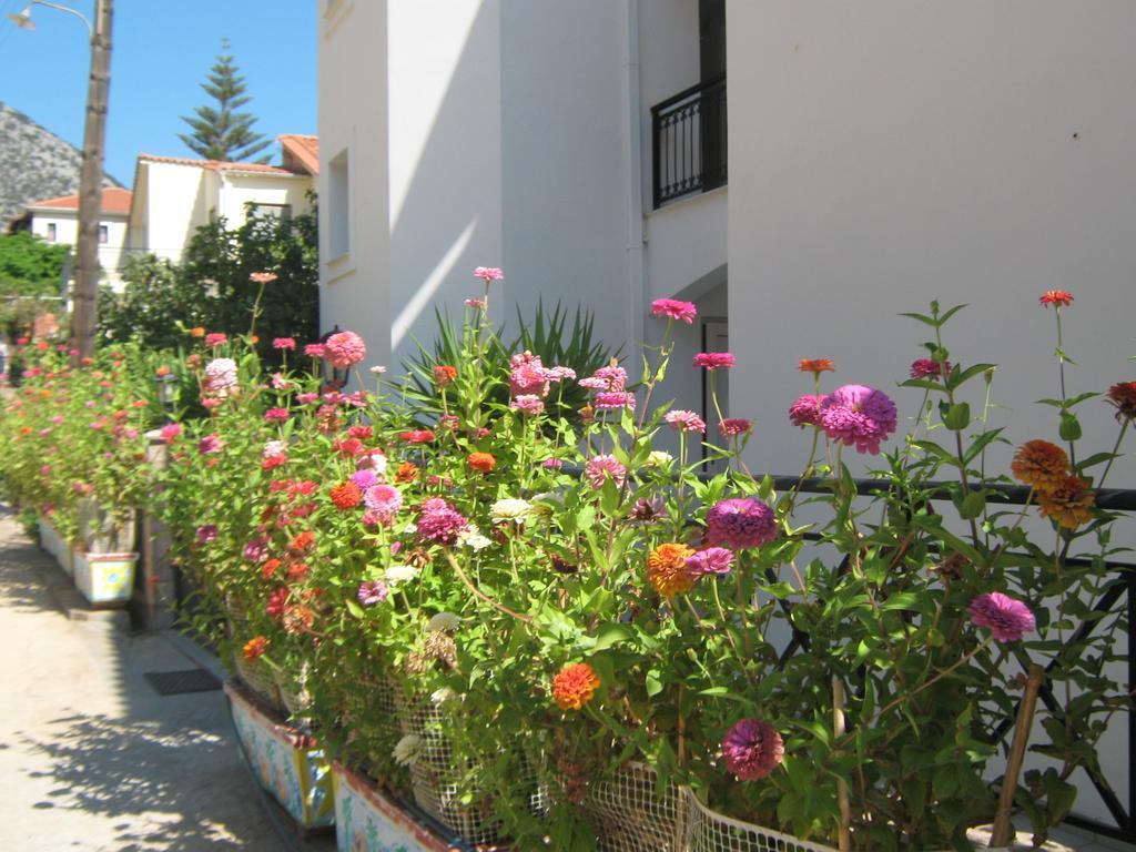 Friderica House Hotel Poros  ห้อง รูปภาพ