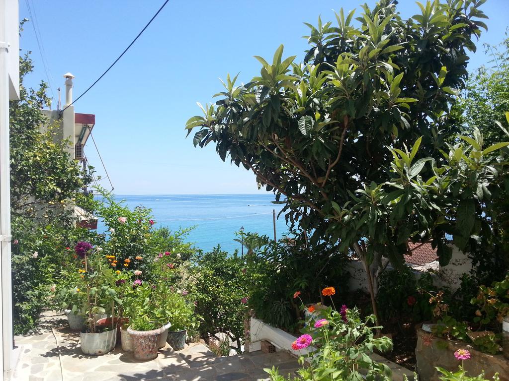 Friderica House Hotel Poros  ภายนอก รูปภาพ